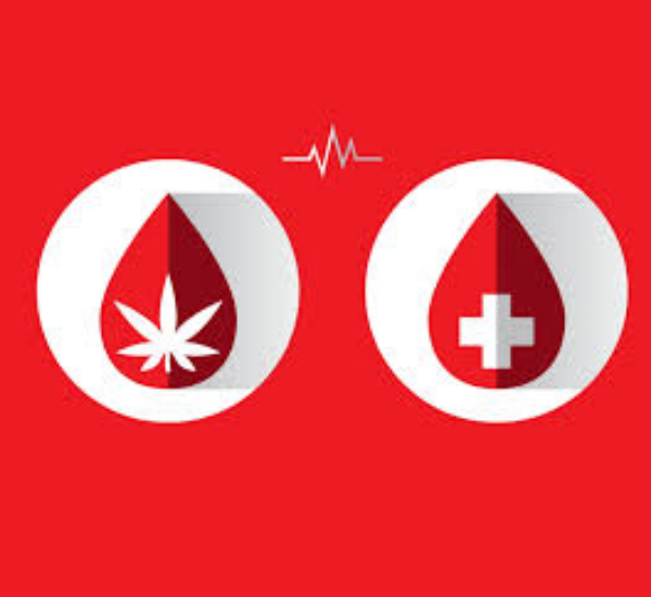 Donar sangre y cannabis