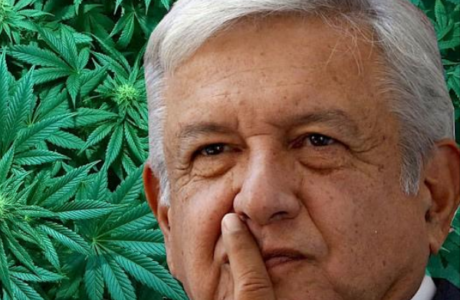 AMLO comenta que si abra Reforma, Cannatlán tu Mercado cannábico de confianza