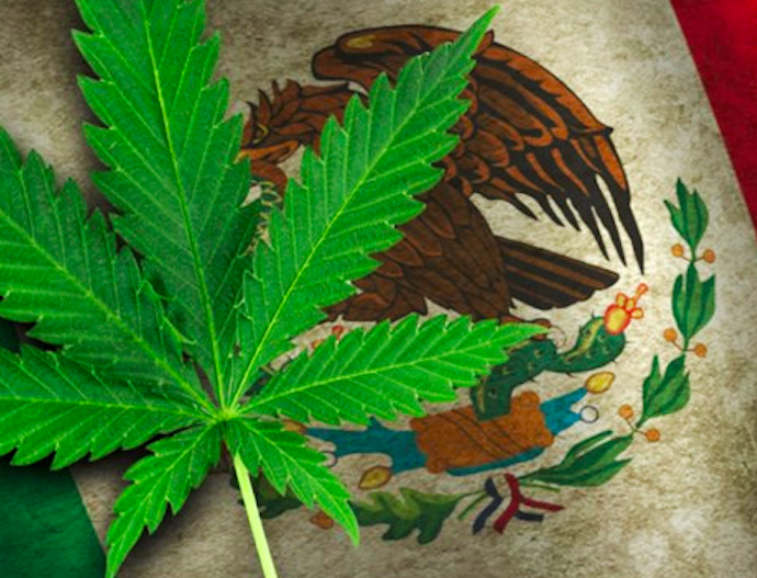 Despenalización de la marihuana en México