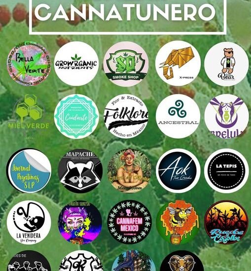 Bazar Cannatunero San Luis Potosi 24 de Julio Cannatlan