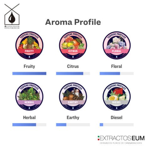 Beyond CBD Gummies: A Comprehensive Guide to Enhanced Relaxation and Wellness (FHZKi)