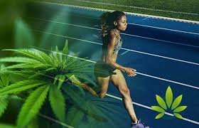 cbd y deportes cannatlan