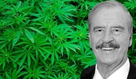 Presidente Fox y marihuana