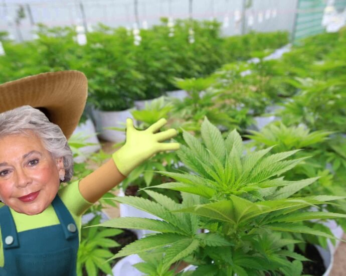 Olga Sanchez Marihuana México Cannatlan