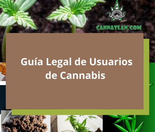 Guia legal para usuarios de marihuana en Mexico cannatlan
