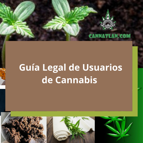 Guia legal para usuarios de marihuana en Mexico cannatlan