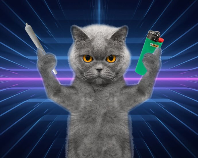 El gato que se robaba la marihuana cannatlan