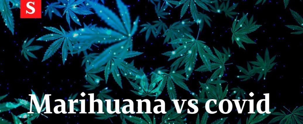 ¿Se puede consumir cannabis antes o después de tu vacuna COVID-19?