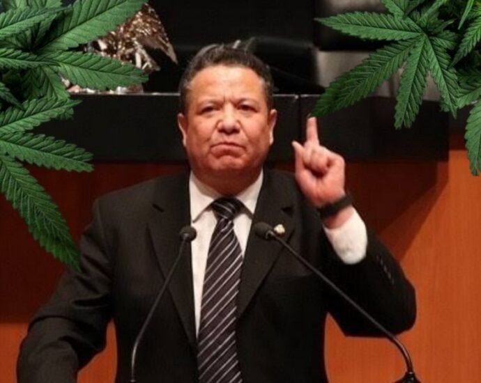 Senador de Morena Julio Menchaca y la marihuana, cannatlan