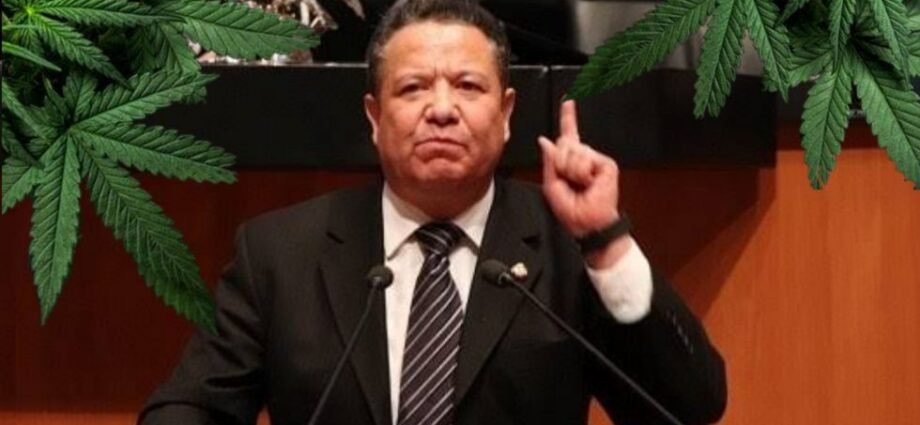 Senador de Morena Julio Menchaca y la marihuana, cannatlan
