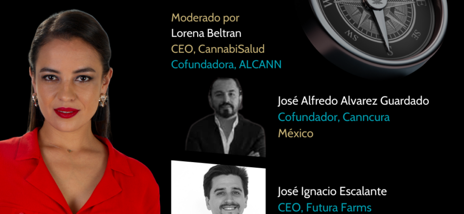 webinar Cannabis y cáñamo en América Latina Cannatlan