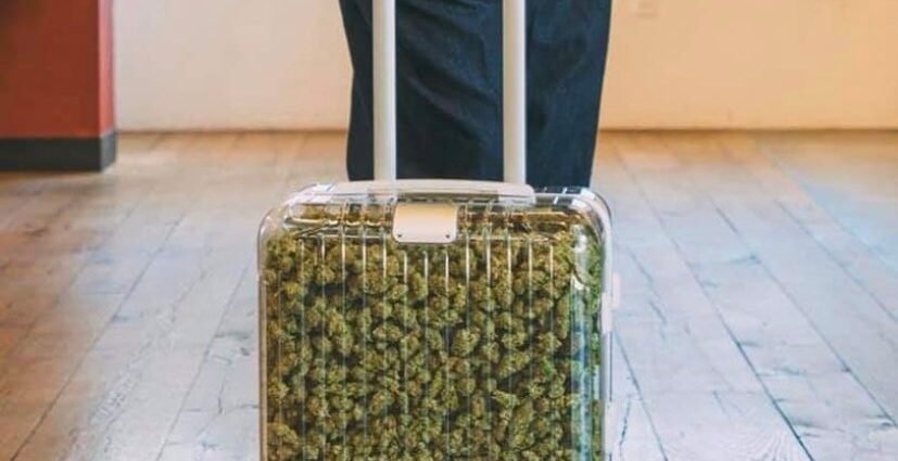 Amsterdam busca limitar turismo cannabico cannatlan