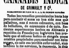 El primer registro de marihuana recreativa es en México cannatlan
