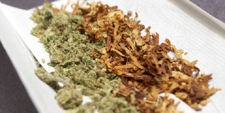 Tabacaleras interesadas en industria cannabis cannatlan