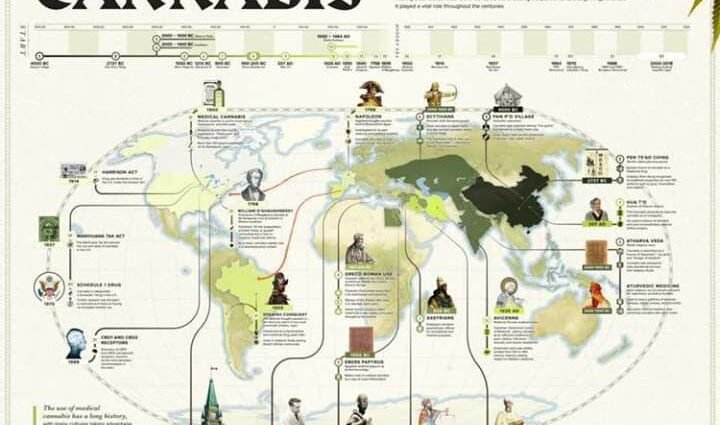 Los 6.000 años del cannabis medicinal cannatlan