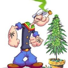 Popeye y la Marihuana cannatlan