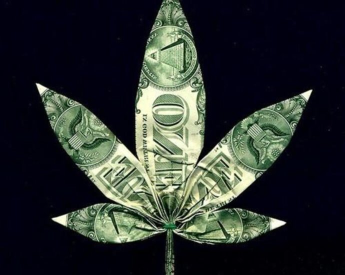 ¿Cuánto cuesta cultivar cannabis en México?