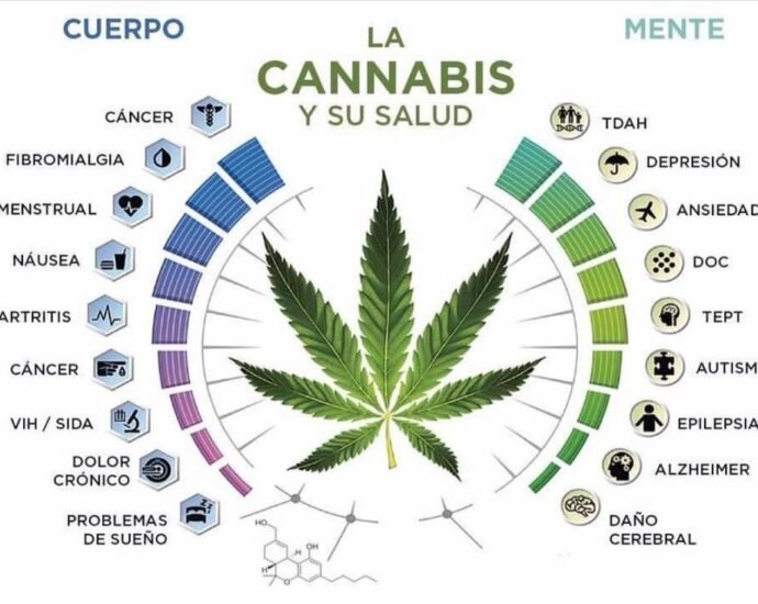 EL CBD y la Salud, cbd y enfermedades, recursos, estudios clínicos e información en tiempo real en cannatlan