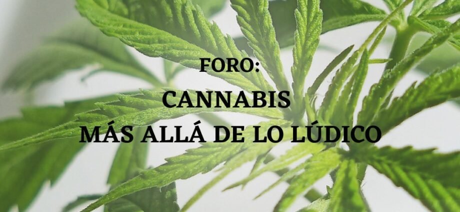 Foro en el Senado de la República, más allá de lo lúdico cannatlan