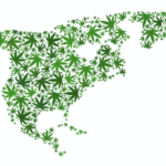 legalización de marihuana recreativa en California y México cannatlan