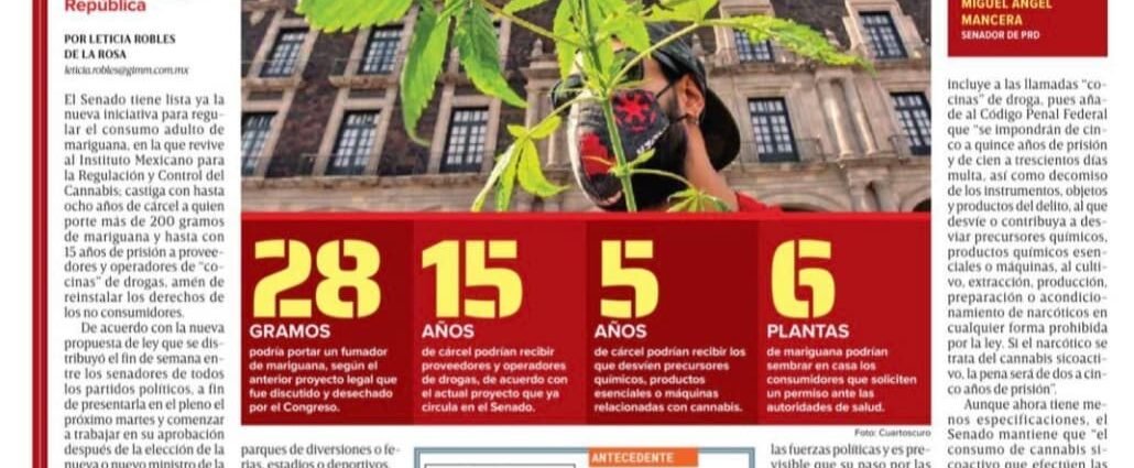 Flexibilizan portar marihuana 200 gramos en México Cannatlan