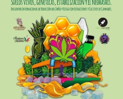 Trajinera Cannabica en Xochimilco 17 de diciembre 2021 cannatlan