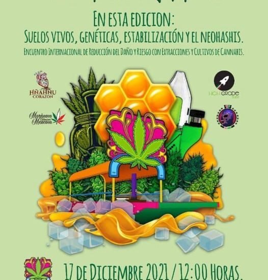 Trajinera Cannabica en Xochimilco 17 de diciembre 2021 cannatlan