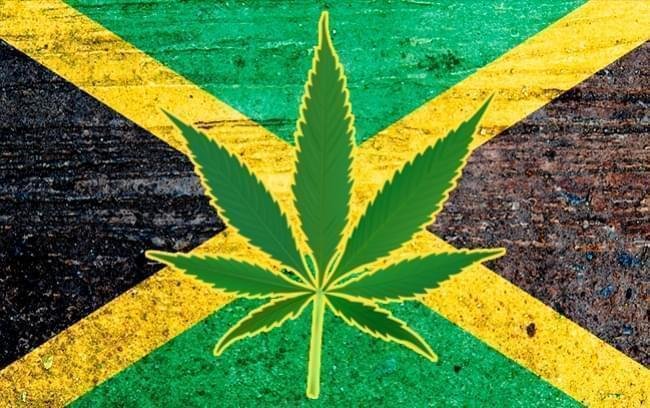 Jamaica lanza campaña de promocion positiva de la marihuana