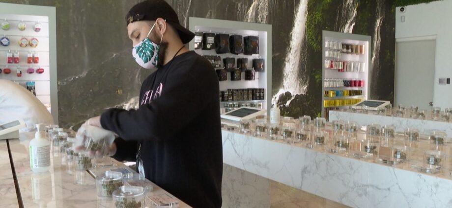 west hollywood se sueña en ser el proximo amsterdam cannatlan
