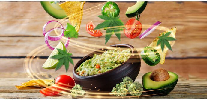 Guacamole con marihuana cannatlan