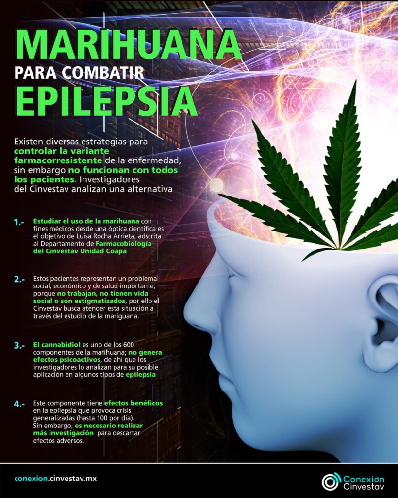 Cinvestav analiza uso de cannabis para tratar epilepsia