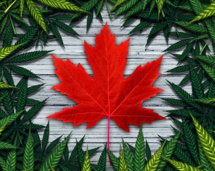 Canada tiene derrama economica millonaria por la industria del Cannabis cannatlan