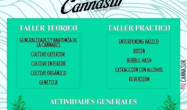 Taller de Autocultivo 16 de abril 2022 Veracruz cannatlan