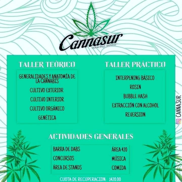 Taller de Autocultivo 16 de abril 2022 Veracruz cannatlan