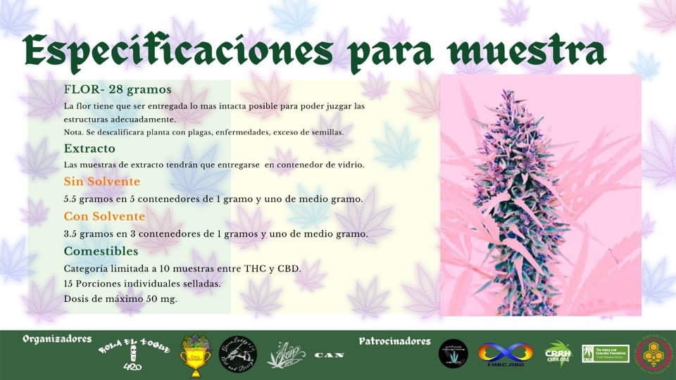 Lara Cannabis Cup, Puebla 23 y 24 de abril 2022
