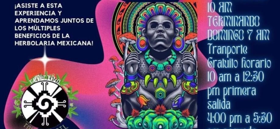 Xochipili Festival de las Flores Ocoyoacac Edomex Cannatlan 2022