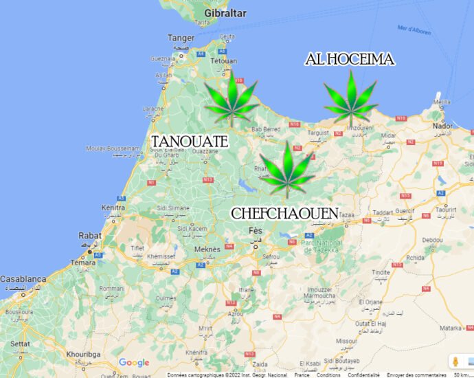 3 Regiones autorizadas de Cannabis en Marruecos cannatlan
