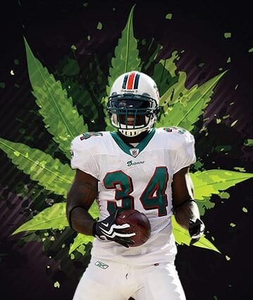 NFL estudiara thc y cbd con la UCSD cannatlan