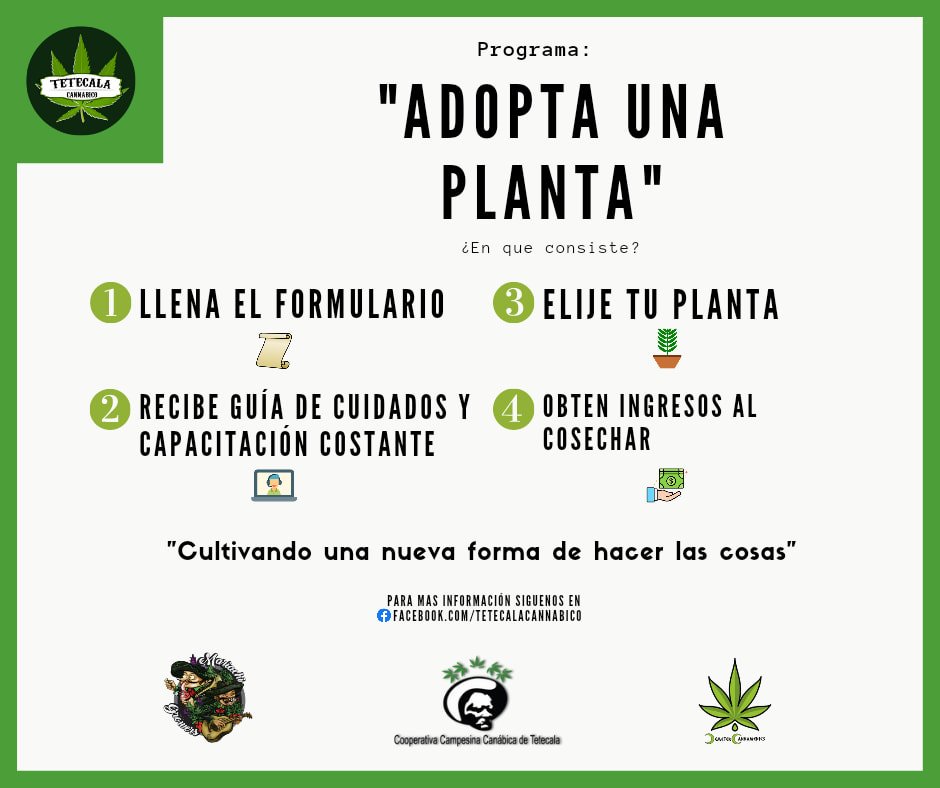 Programa Adopta una Planta, Plan de Tetecala