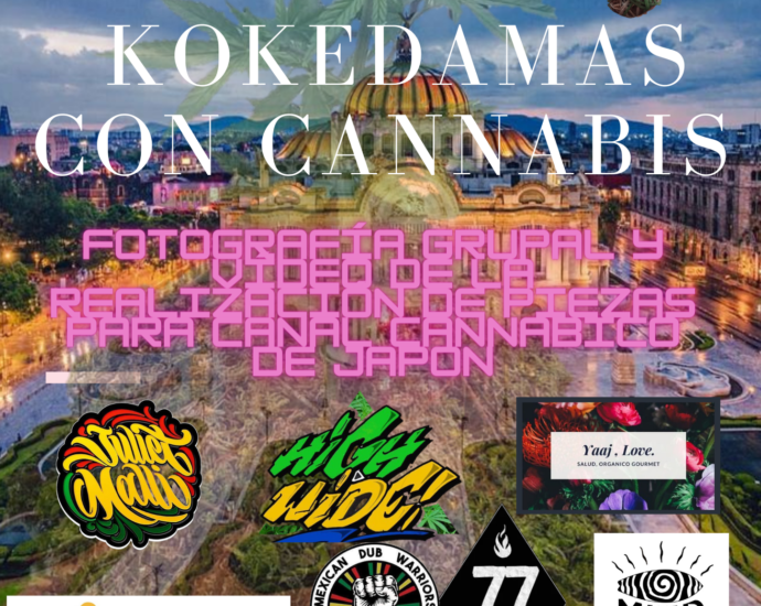 kokedamas con cannabis cannatlan