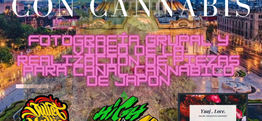 kokedamas con cannabis cannatlan