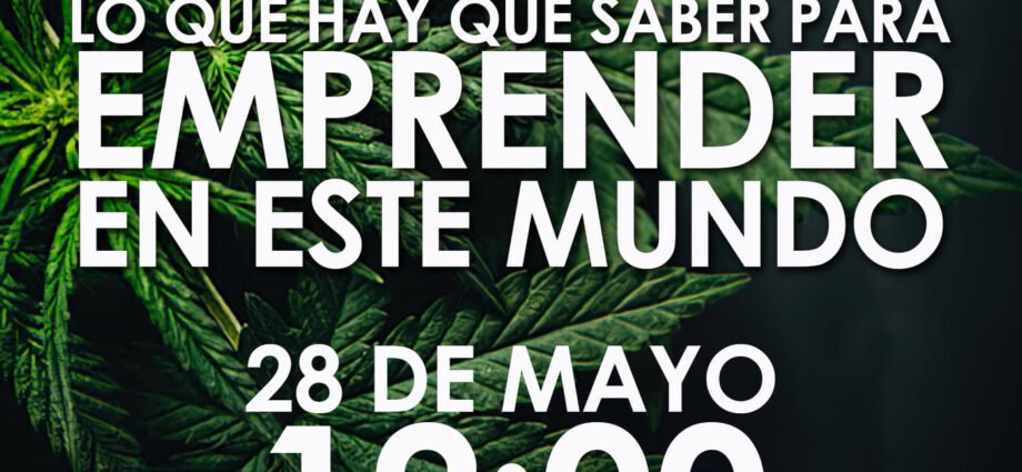 Feria de Emprendimiento Cannánico 28 de Mayo 2022 cuernavaca morelos cannatlan