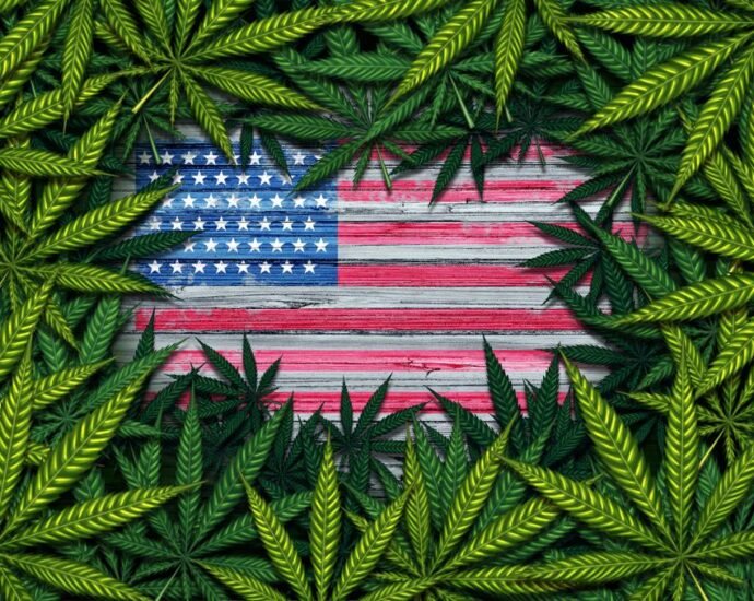 Camara de Representantes de EUA aprueba cannabis recreativo cannatlan