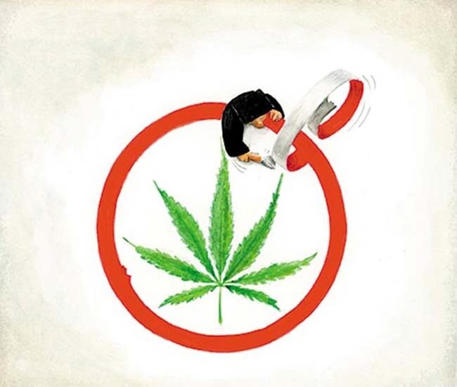 Oaxaca Punta de lanza en politica de drogas, nexos, ilustracion victor solis cannatlan