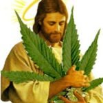 Versiculos de hierba en la Biblia cannatlan.com