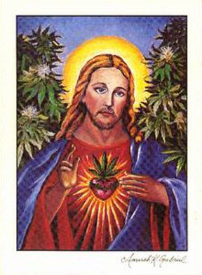 Versiculos de hierba en la Biblia cannatlan.com