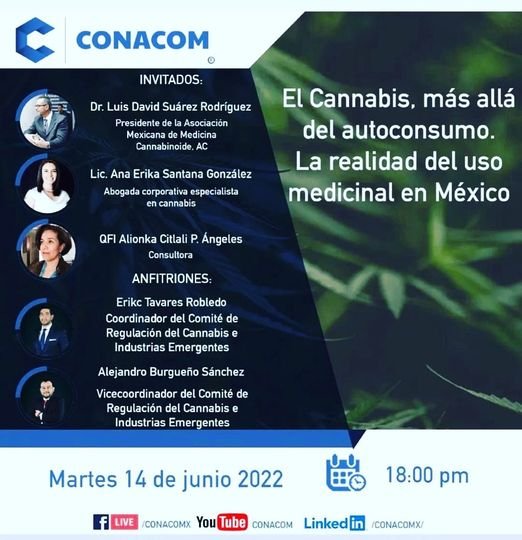 Conversatorio, cannabis mas alla del consumo, la realidad del uso medicinal en México