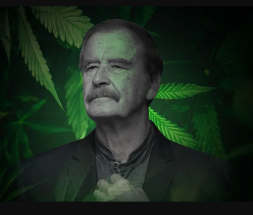 Vicente Fox Marihuana