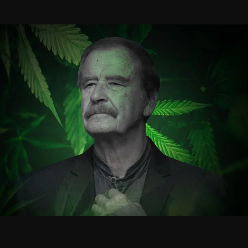 Vicente Fox Marihuana