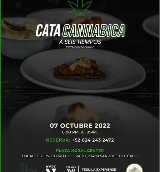 Cata Cannábica en San Jose del Cabo 07 de octubre 2022 cannatlan